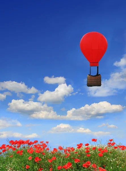 Beautyful red poppy field and blue sky, floating hot-air balloon — Stock Photo, Image