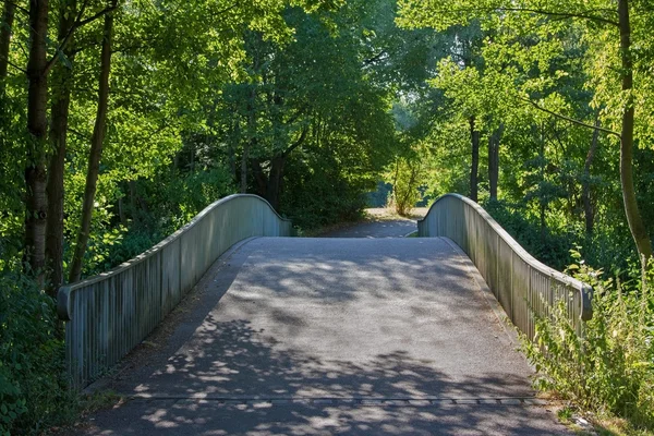 Footbridge in the park, urban recreational area — Stock Photo, Image