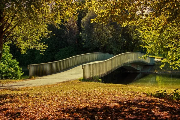 Puente suavemente curvado en el parque — Foto de Stock