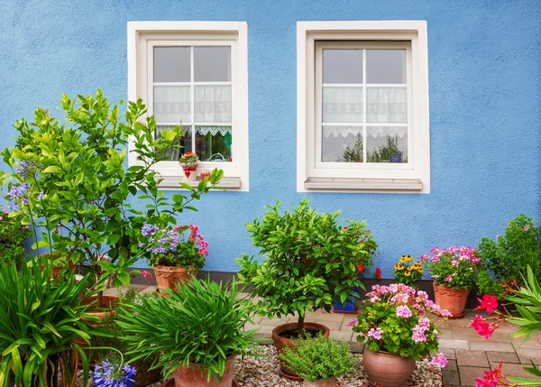 Fronte casa blu con due finestre, vasi di fiori mediterranei — Foto Stock