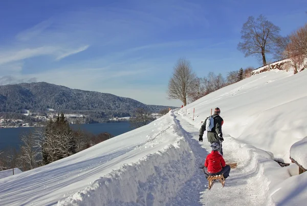 Отец тянет сына с санями, зимняя пешеходная тропа, tegernsee — стоковое фото