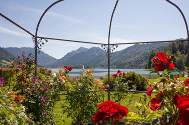Lake görünümü schliersee çardak gül ve akasma aracılığıyla
