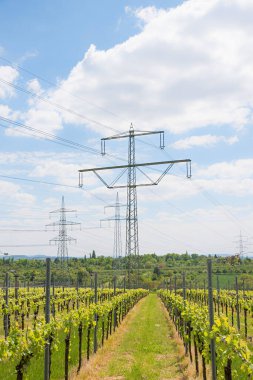 High-voltage power line running through the middle of a vineyard. Blue sky with clouds.vertical shot.