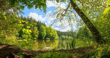 Üç gölden biri olan Thanning Gölü, yeşil ormanlı cennet gibi bahar manzarası. Yukarı Bavyera manzarası