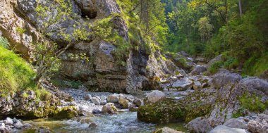 Bavyera Alpleri'nde dağ sel