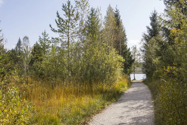 Passerella attraverso la zona paludosa, Kirchsee bavaria — Foto Stock