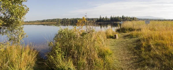 Bellissimo lago brughiera Kirchsee in autunno, con la protezione della natura a — Foto Stock