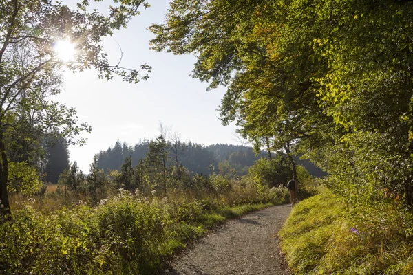 Promenader genom marsh land, naturen skyddsområde — Stockfoto