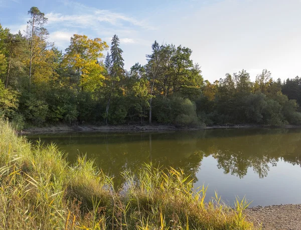 Autumnal pond, tranquil scenery — Stock Photo, Image