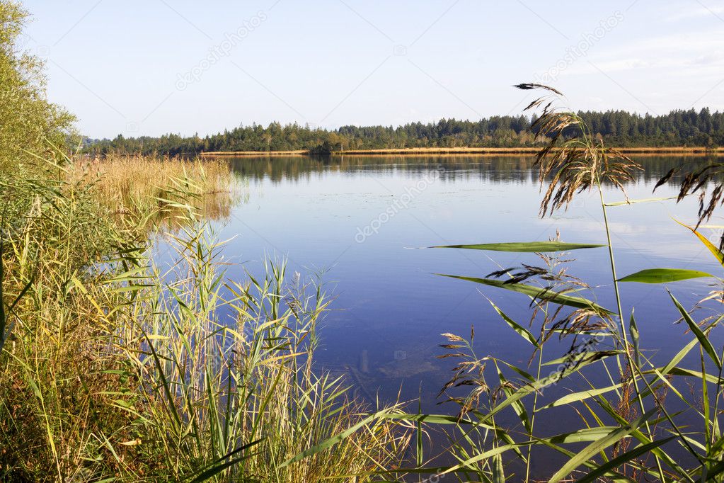 idyllic moor lake kirchsee