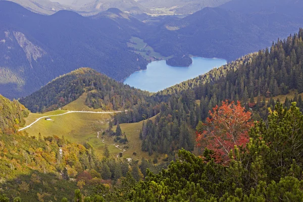 Vista da montanha herzogstand para o lago walchensee — Fotografia de Stock