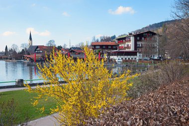 İlkbaharda çiçek açan orman, turizm beldesi ve Schliersee Gölü, Bavyera manzarası