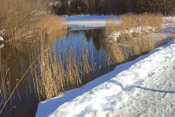 Paysage hivernal rivière schlierach avec roseau sec et couverture de neige — Photo