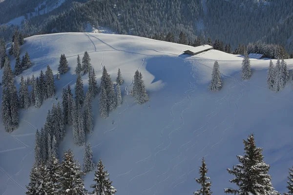 Alpin stuga på hillside — Stockfoto