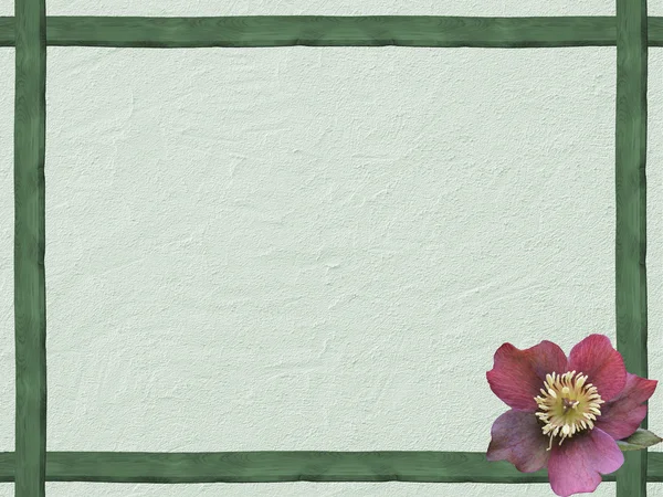 Χειμώνα φόντο με πράσινο ξύλινο πλαίσιο και ελλέβορος λουλούδι — Φωτογραφία Αρχείου