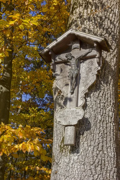 Христианская придорожная святыня на буковом дереве с разноцветными листьями — стоковое фото