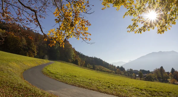 Kurvenreicher Weg am Hang, wunderschöne Herbstlandschaft — Stockfoto