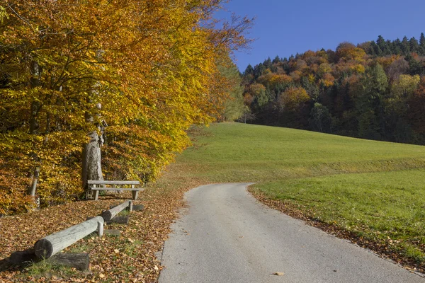 Bunter Waldrand mit Ruhebank — Stockfoto