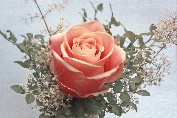 Pequeño posy con flor de rosa, cuchilla dulce y hojas de arándano —  Fotos de Stock