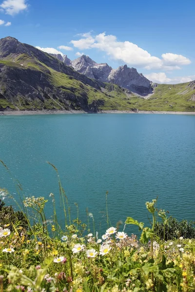 Pictorial artificial lake lunersee with alpine flowers — Stock Photo, Image