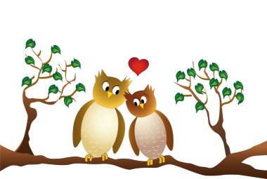 bir dal, beyaz arka plan üzerinde oturan iki sevdalı baykuş