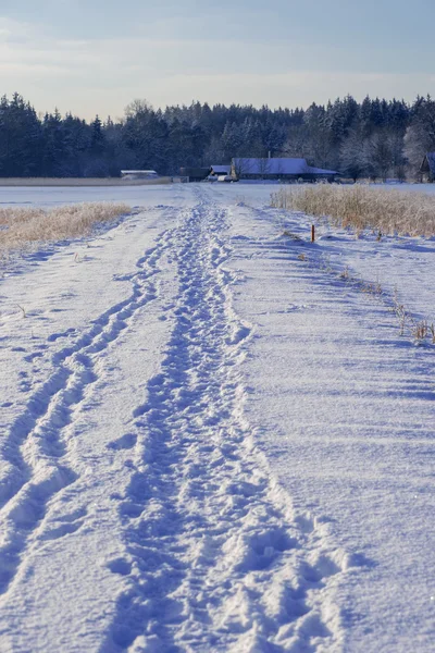 Fußweg in winterlicher Landschaft — Stockfoto