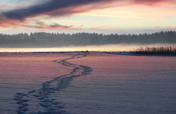 日没の風景、雪に覆われたフィールド上足トラック — ストック写真