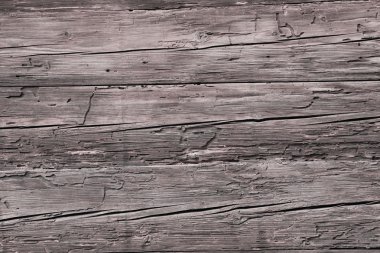 solucan delikleri ile ahşap arka plan