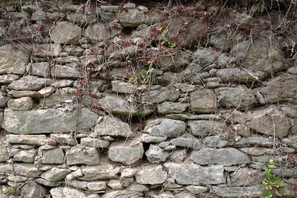 Vieja pared asquerosa — Foto de Stock