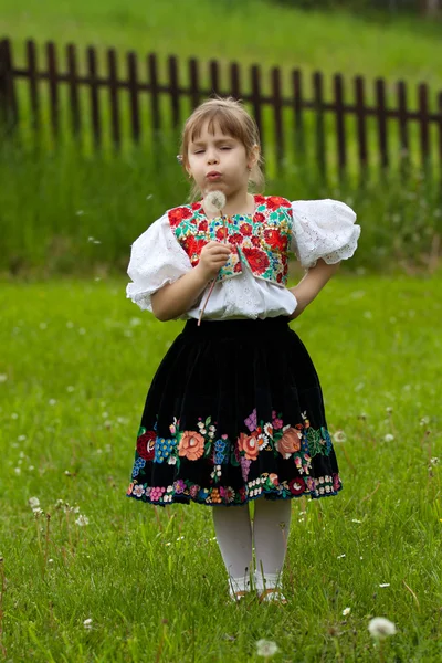 Costumes folkloriques petite fille sur la prairie — Photo