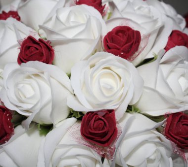 Beyaz ve kırmızı bahçeli güzel güller. 