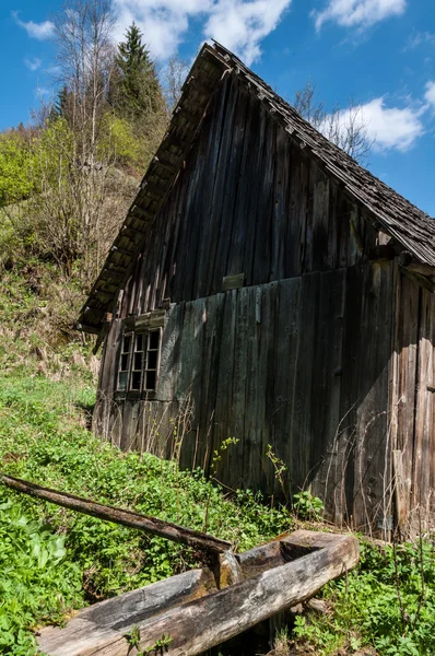 Několik náhledů v lese vesnici — Stock fotografie