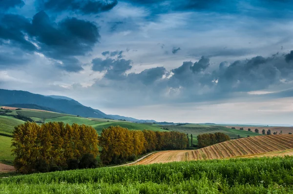 Sera sotto il cielo scuro — Foto Stock