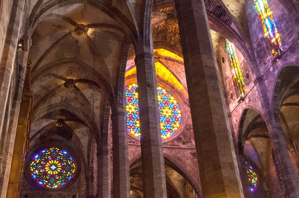 Mallorca Gotik catedral Le Seu — Stok fotoğraf