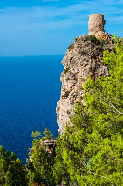 Geologia e natura — Foto Stock