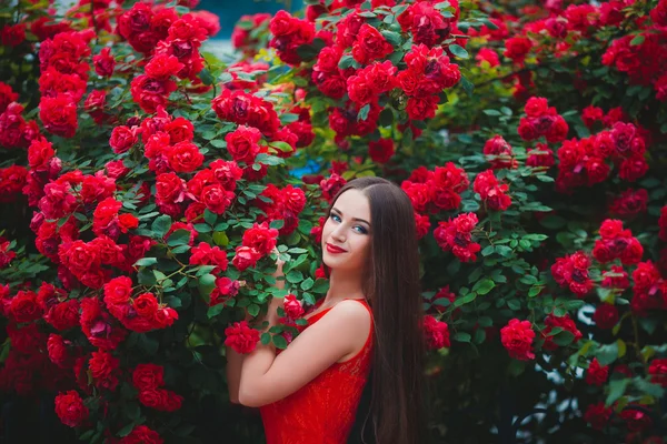 Πανέμορφο πορτρέτο του αισθησιακό μελαχρινή νεαρή γυναίκα κοντά στα κόκκινα τριαντάφυλλα — Φωτογραφία Αρχείου