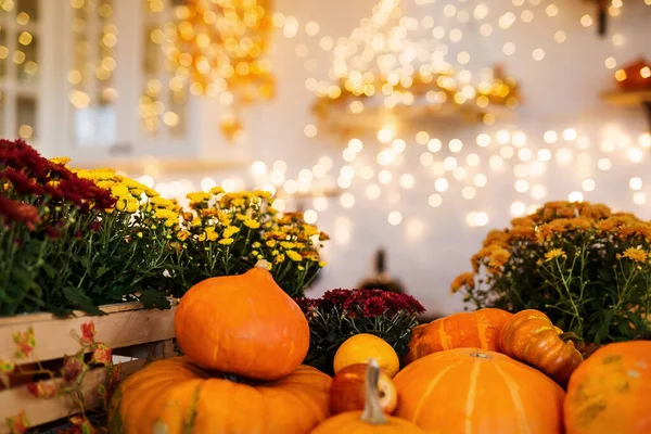 Herbst Küche Interieur. Rote und gelbe Blätter und Blüten in der Vase und Kürbis auf hellem Hintergrund — Stockfoto