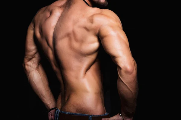 Muscular back and sexy torso of young man. Perfect back muscles and triceps