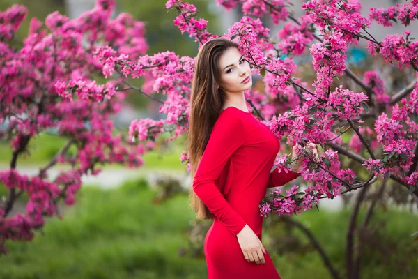 Pembe ağaçları arasında poz zarif Kırmızı elbiseli güzel genç kadın — Stok fotoğraf
