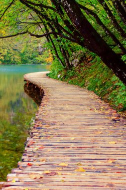 Ahşap yolundaki Plitvice Milli Parkı