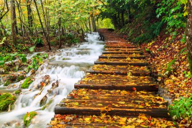 Ahşap sonbahar Plitvice milli parkta yolundaki