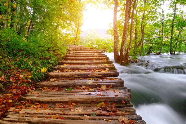 Camino del bosque en el parque nacional de Plitvice en otoño — Foto de Stock