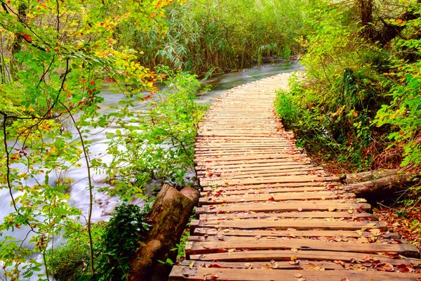 Camino de madera en el parque nacional de Plitvice — Foto de Stock