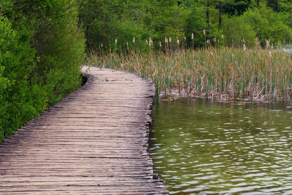 Lesní cestě v národním parku Plitvická — Stock fotografie