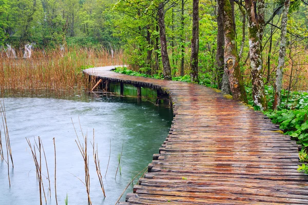 Camino de madera en el parque nacional de Plitvice — Foto de Stock