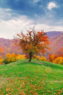 Bihar Dağları'nın tipik dağ manzarası