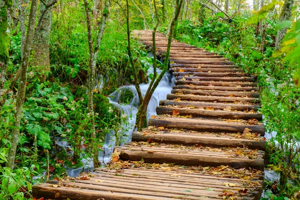 Ahşap yolundaki Plitvice Milli Parkı