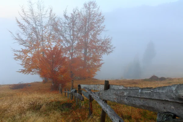 Typická horská krajina Bihár — Stock fotografie