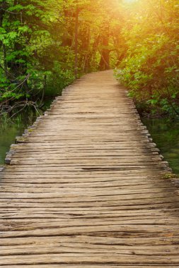 Ahşap yolundaki Plitvice Milli Parkı