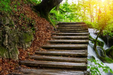 Ahşap yolundaki Plitvice Milli Parkı